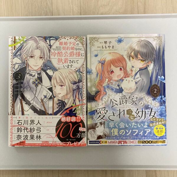 離婚予定の契約婚なのに、冷酷公爵様に執着されています 3 公爵家の愛されニセ幼女 2