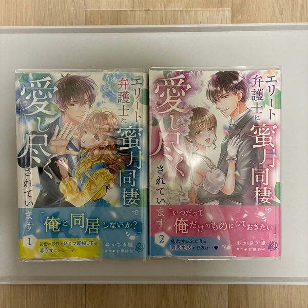 エリート弁護士に蜜月同棲で愛し尽くされています 1.2