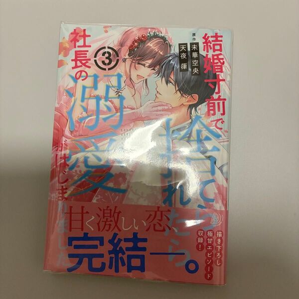 結婚寸前で捨てられたら社長の溺愛がはじまりました 3