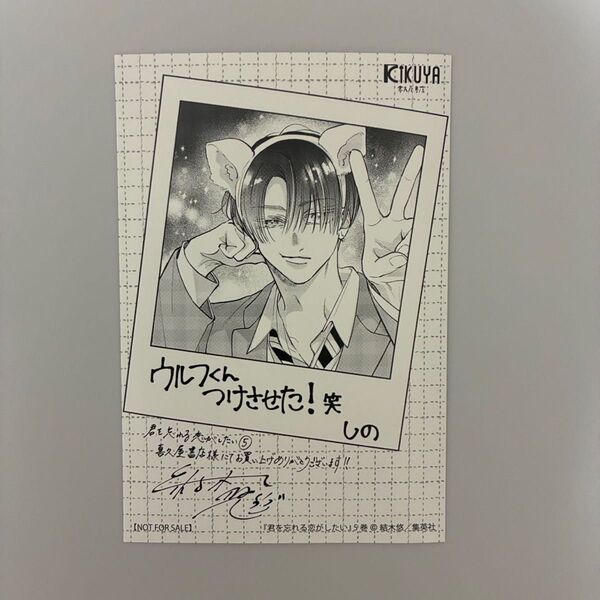 君を忘れる恋がしたい 5 特典 喜久屋書店 イラストカード
