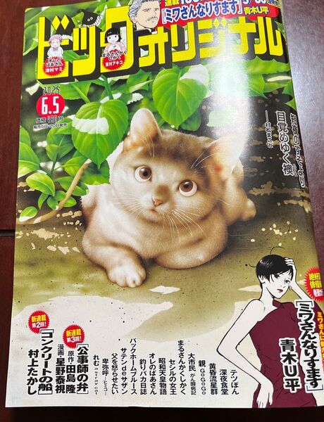 ビッグコミックオリジナル 2025年6月5日号 (小学館)