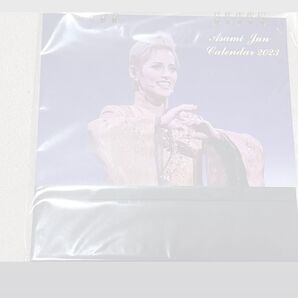 朝美絢 カレンダー 2023