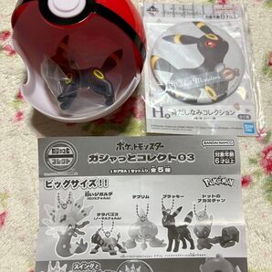 ガシャっとコレクト03ブラッキー と ブラッキーの缶ミラー セット売り