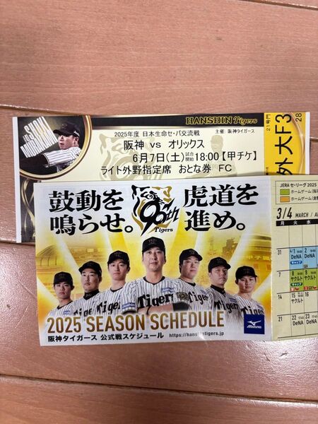 阪神 対 オリックス 6月7日(土) 甲子園球場 ライト外野指定席大人 1枚 、EXILE TAKAHIROパフォーマンス有