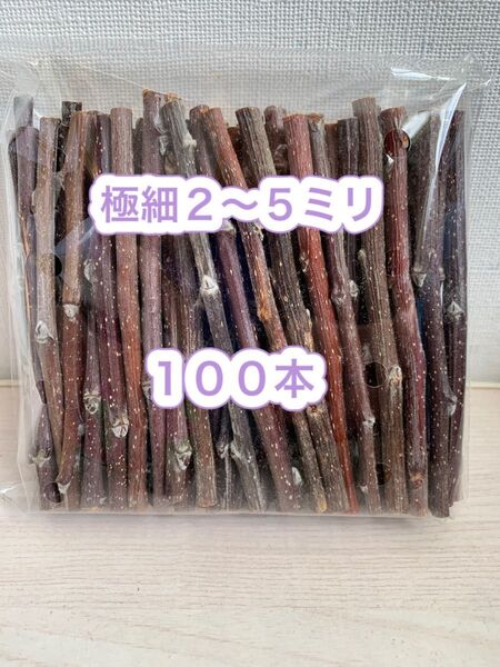 かじり木 りんごの木 極細100本