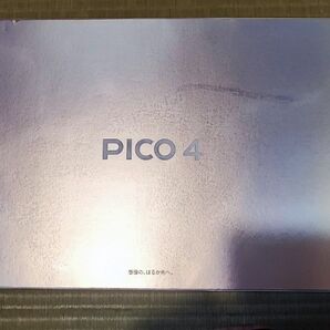 pico4 125gb