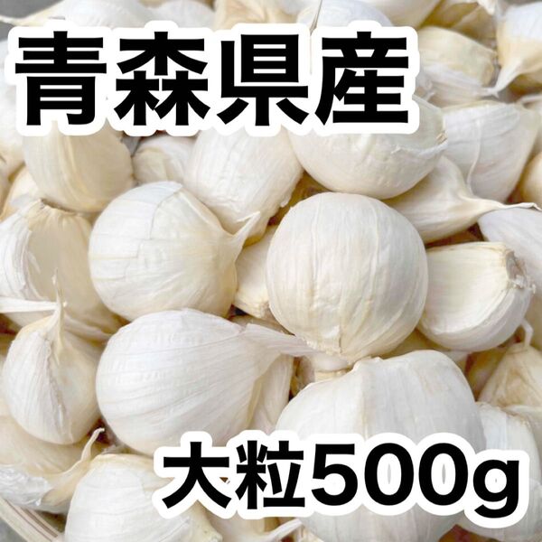 青森県産 福地ホワイト六片 大粒 バラ 500g