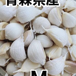 青森県産 福地ホワイト六片 Mサイズ バラ 500g