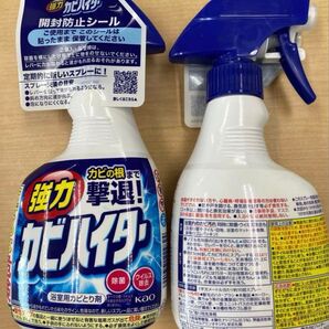 花王 浴槽用カビとり剤 カビハイター2本