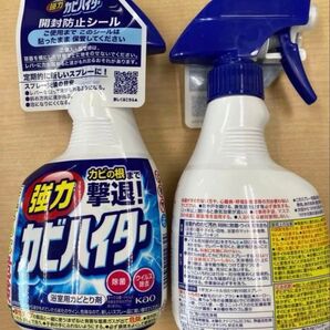 花王 浴槽用カビとり剤 カビハイター 買得2本