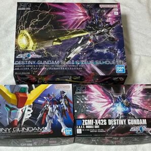 HG デスティニーガンダム 通常 SpecⅡ&ゼウスシルエット 2種 RGデスティニーガンダム 合計3種
