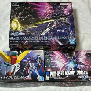 HG デスティニーガンダム 通常 SpecⅡ&ゼウスシルエット 2種 RGデスティニーガンダム 合計3種