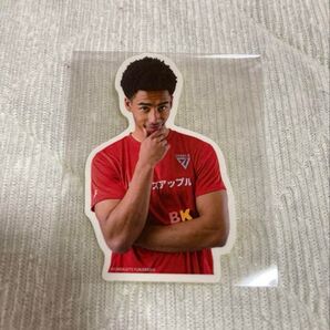 千葉ジェッツ ダイカットステッカー