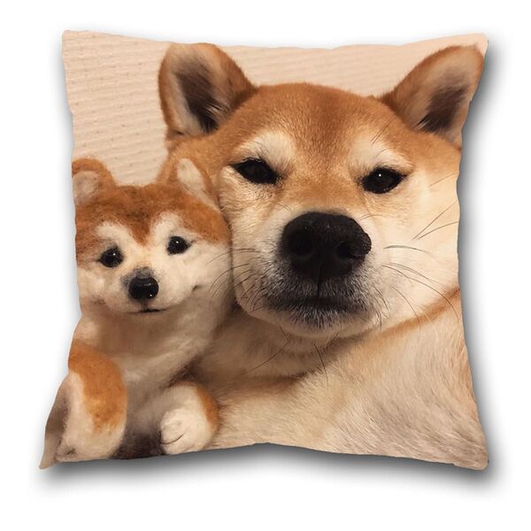 可愛い柴犬 お顔寄せアップ クッションカバー 45cm×45cm