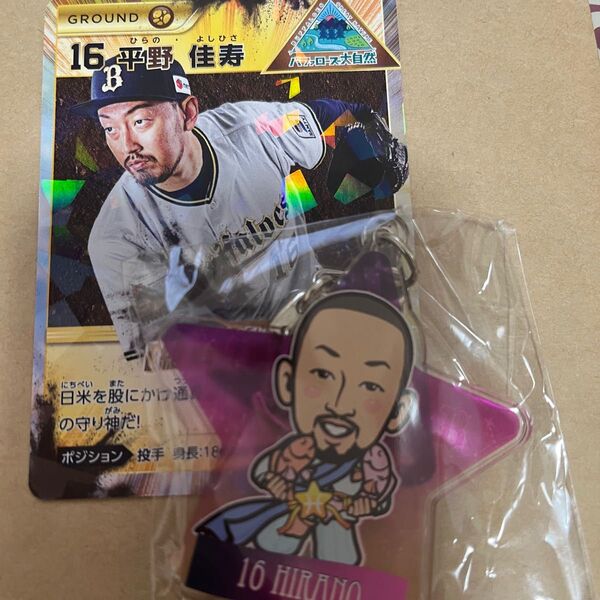 オリックスバファローズ 平野佳寿投手 アクリルキーホルダー、バファローズ大自然カード