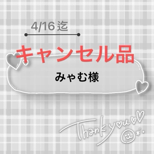 27.みゃむ様