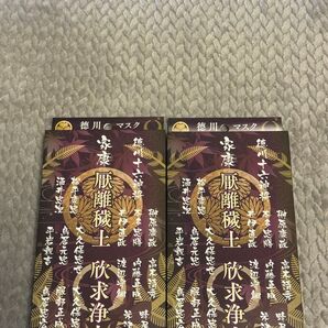 不織布マスク 徳川マスク 2箱セット