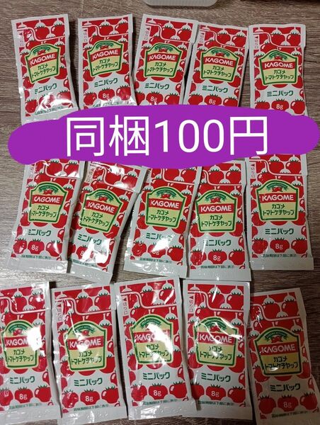 ケチャップ 15個セット ミニパック 小袋 調味料