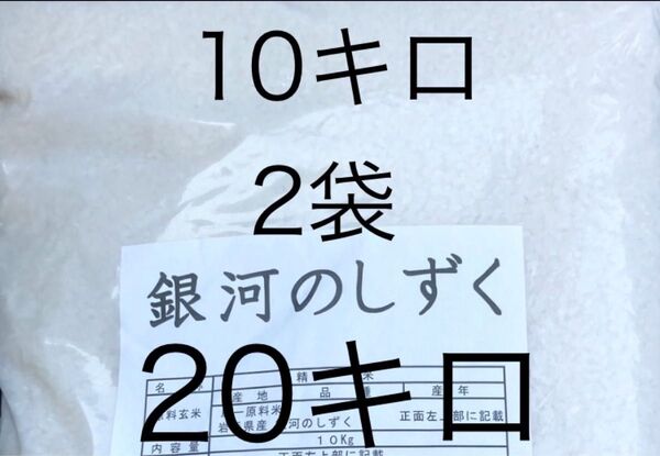 銀河のしずく 10キロ2袋 合計20キロ 5月上旬精米 岩手県のお米 送料無料 匿名配送 送料込み