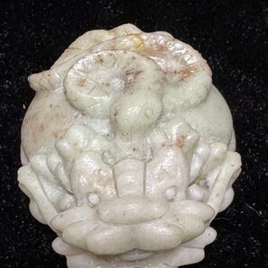 翡翠龍亀
