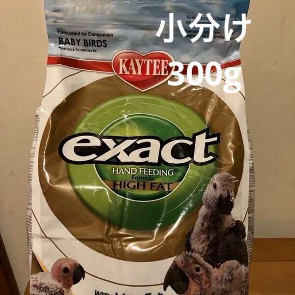 イグザクト ケイティー ハイファット
