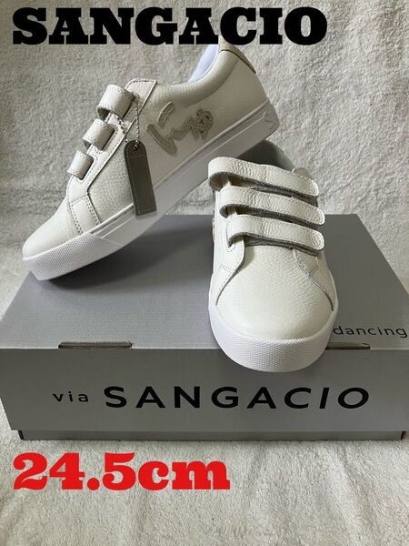 【新品未使用】SANGACIO にゅ サンガッチョスニーカー24.5㎝