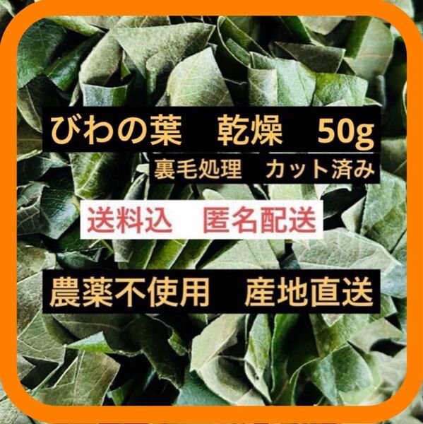 50g びわの葉 枇杷の葉カット裏毛処理済 農薬不使用 産地直送 茶 エサ