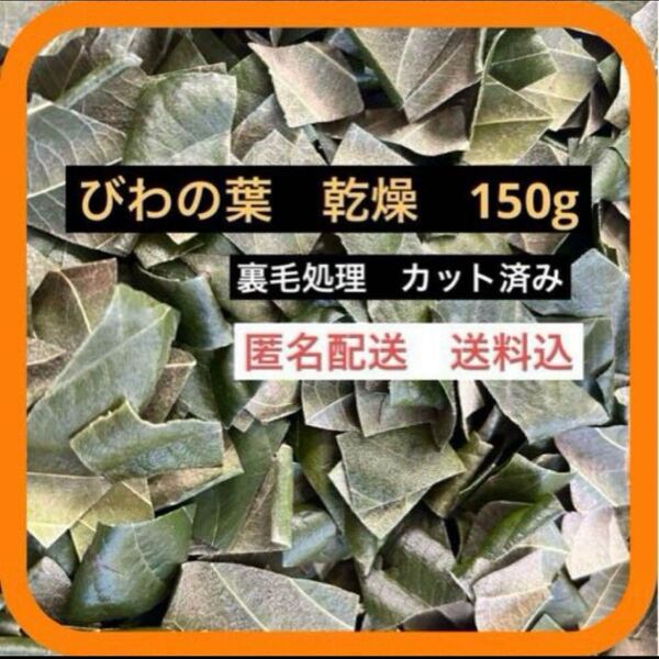 150g びわの葉 枇杷の葉カット裏毛処理済 農薬不使用 産地直送 茶 ペット エサ びわ茶