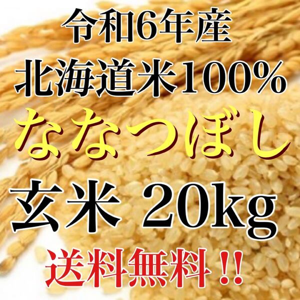 令和6年度産北海道米100%ななつぼし玄米20キロ