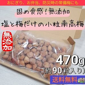 【災害時の非常梅にも】固めの小粒紀州南高梅950g