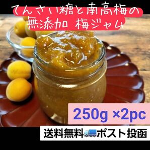 【無添加】てんさい糖と南高梅の梅ジャム