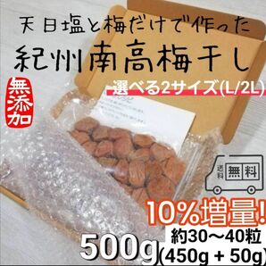 【お試し500g】天日塩と梅だけの紀州南高梅干し