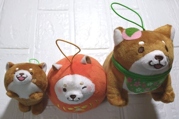 【新品.未使用!】忠犬もちしばぬいぐるみ3個セット(おかか.うめ)