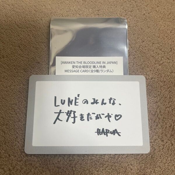 &TEAM メッセージカード ハルア