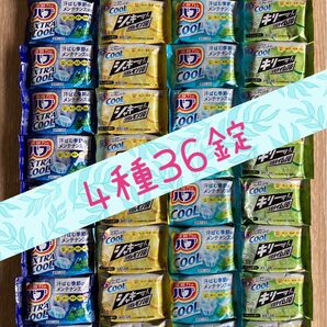 【花王ハフ】薬用入浴剤(クールタイフ)・4種アソート・36錠セット