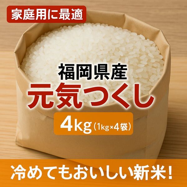 【数量限定】福岡ブランド米 元気つくし 4kg 農家直送 ふっくらツヤツヤ新米!