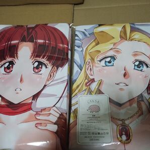 うるし原智志 ガオガイガー 卯都木命 スワン 抱き枕カバー 大好き!ビーチクン