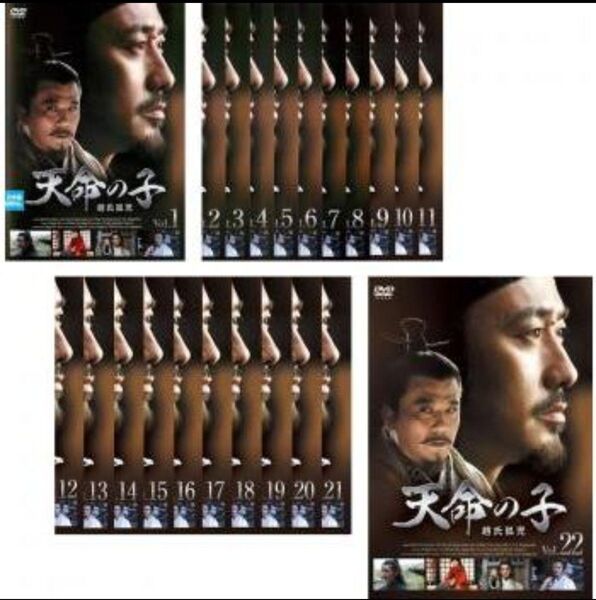 天命の子 趙氏孤児 全22巻 第1話〜第45話 日本語字幕 レンタル落ちDVD 全巻セット ケース無し