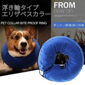 *やわらかエリザベスカラー*