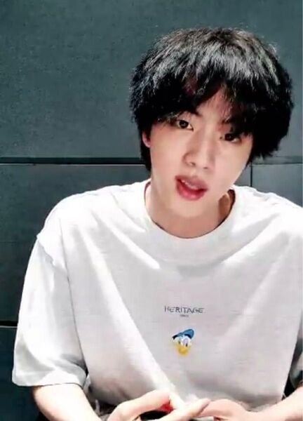 BTS ジン着用 ORDINARY PEOPLE ドナルド Tシャツ L JIN