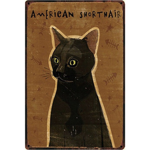 A2712　メタル　サイン　ブリキ　看板　金属製　プレート　アート　パネル　動物　ペット　猫　アメリカンショートヘア　アメショ　1018