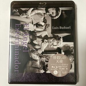 Blu-ray(ブルーレイ)　皆殺しの天使　IVBD-1070