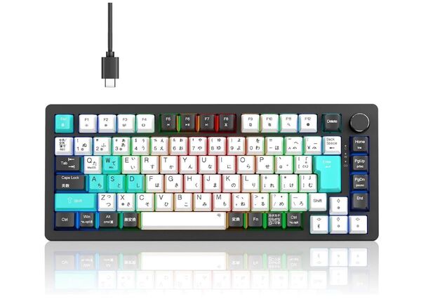 メカニカルキーボード KB820日本語配列とカナ印字一体有線ノブ付き LEDバックライトMac/Windows対応 サテライト軸