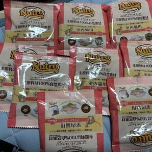 ニュートロ ナチュラルチョイス アダルト 室内猫用 8袋 サンプル