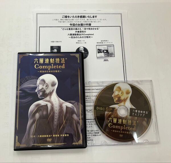 六層連動操法Completed ~完治のための方程式~ DVD