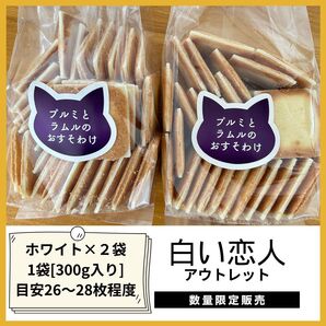 石屋製菓 白い恋人 アウトレット品 プルミとラムルのおすそわけ 2袋セット 【ホワイト2袋】