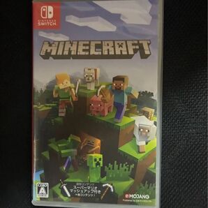 Minecraft Nintendo Switch