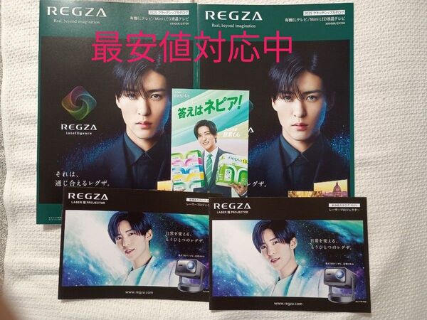 5点最安値★ネピア リーフレット1枚& レグザ 最新カタログ4冊 目黒蓮