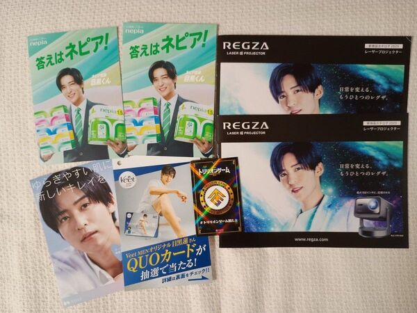 7点★最安値★ネピアリーフレット レグザプロジェクターカタログ 他 目黒蓮