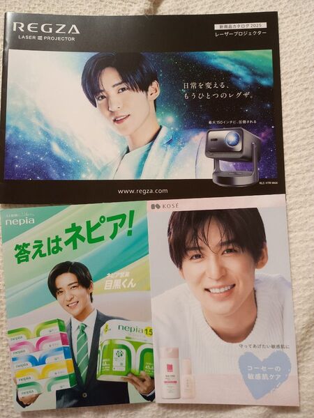 クーポン可★最安値★3点★ネピア リーフレット レグザ プロジェクター カタログ KOSE 目黒蓮